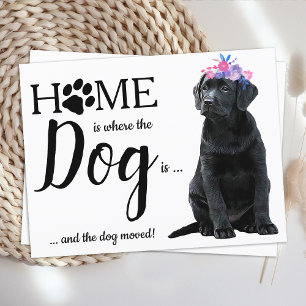 Black Labrador Vi har flyttat Hund Flytta Meddelande Vykort