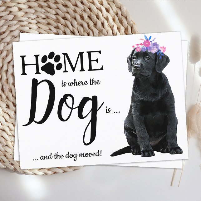 Black Labrador Vi har flyttat Hund Flytta Meddelande Vykort (Skapare uppladdad)