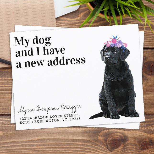 Black Labrador Vi har flyttat Ny adress Hund Flytt Vykort (Skapare uppladdad)