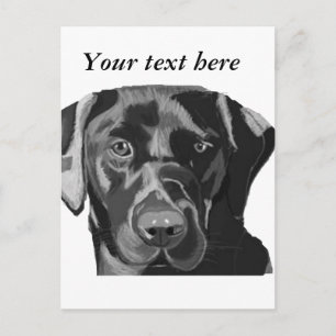 Black Labrador Vykort