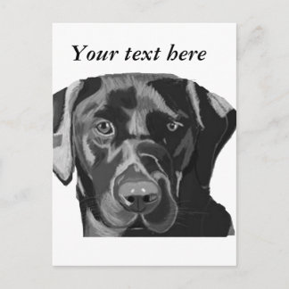 Black Labrador Vykort