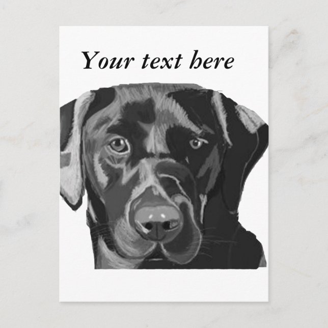 Black Labrador Vykort (Framsida)