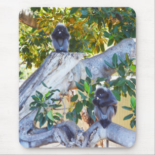 Black Langur Monkey Eating, Mousepad Musmatta