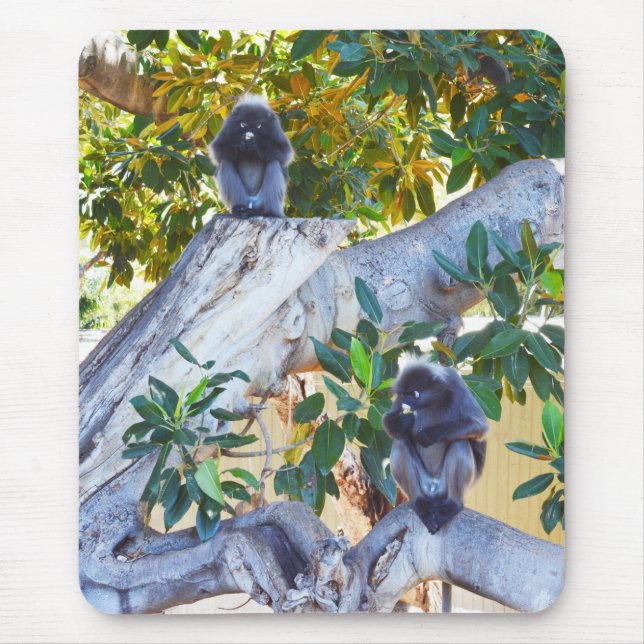 Black Langur Monkey Eating, Mousepad Musmatta (Framsidan)