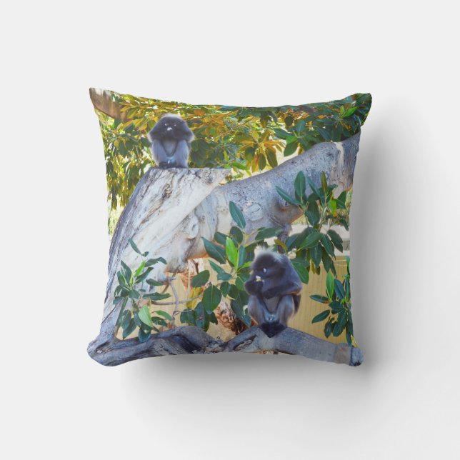 Black Langur Monkey Eating, Throw Cushion Kudde (Framsida)