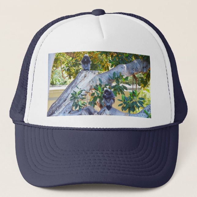 Black Langur Monkey Eating, Truckers Hat Keps (Framsida)