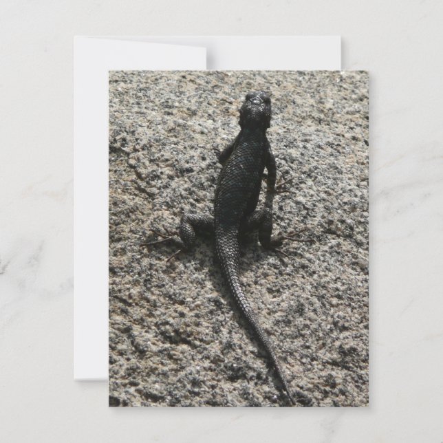 Black Lizard (Framsida)