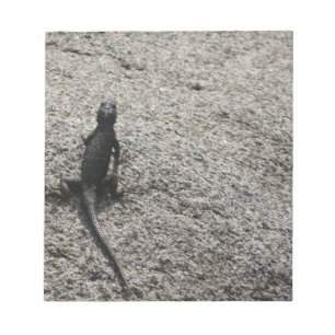 Black Lizard Anteckningsblock