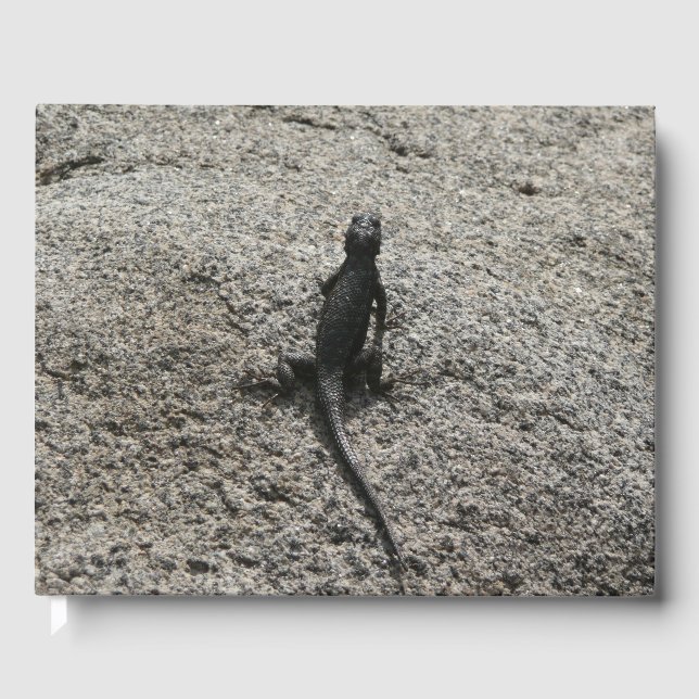 Black Lizard Gästböcker (Framsida)
