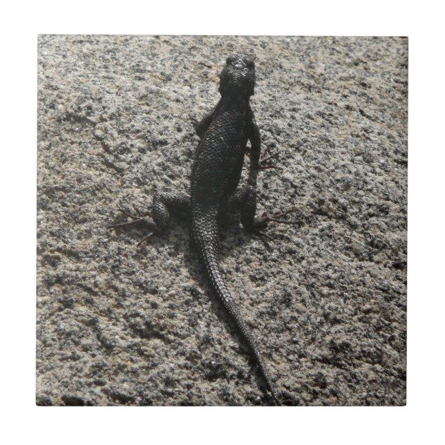 Black Lizard Kakelplatta (Framsidan)