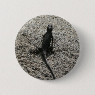 Black Lizard Knapp