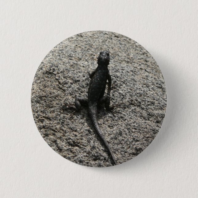 Black Lizard Knapp (Framsida)