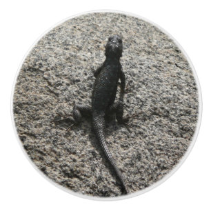 Black Lizard Knopp