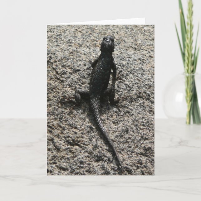 Black Lizard Kort (Framsida)