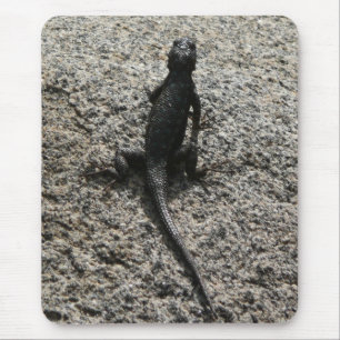 Black Lizard Musmatta