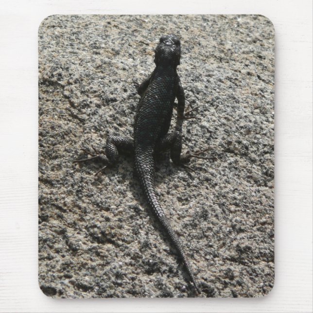Black Lizard Musmatta (Framsidan)