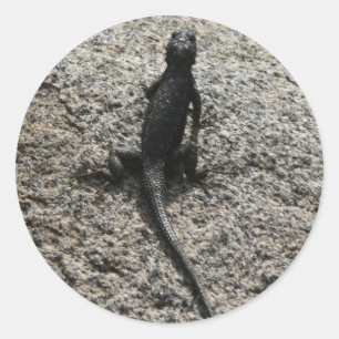 Black Lizard Runt Klistermärke