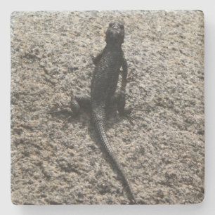 Black Lizard Underlägg Sten