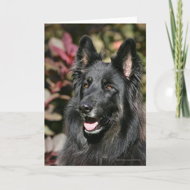 Black Long-partysk Shepherd Kort (Framsida)