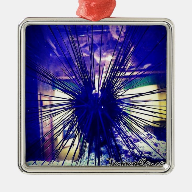 Black Longspine Urchin Julgransprydnad Metall (Framsidan)