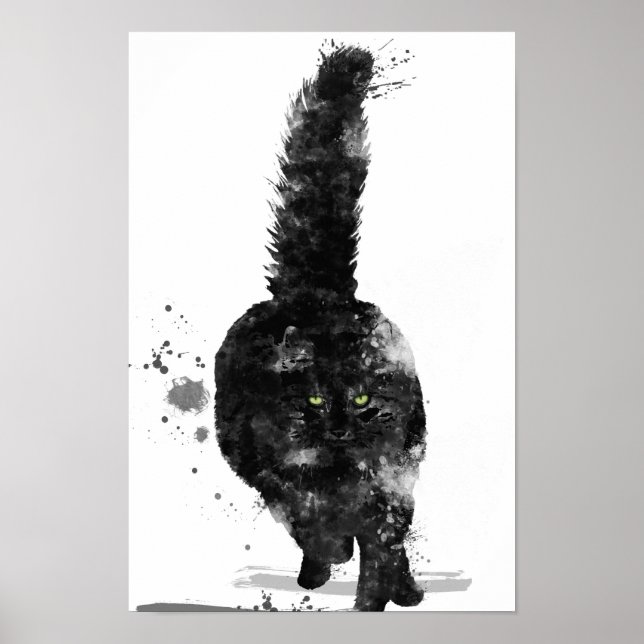 BLACK MAINE COON CAT - POSTER (Framsidan)
