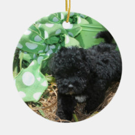 Black Maltipoo Puppy Julgransprydnad Keramik