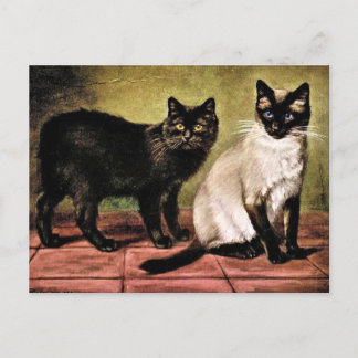Black Mank and Royal Siamese Cat Vykort