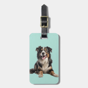Black Merle Australian shepherd Bagagebricka