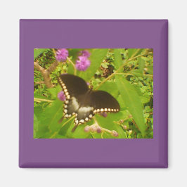 Black Monarch Magnet