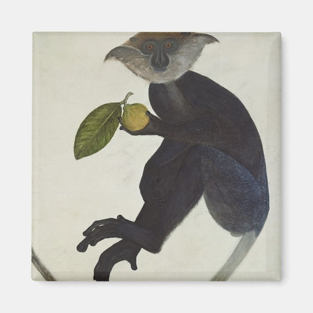 Black Monkey Magnet (Framsidan)