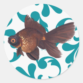 Black Moor Goldfish Sticker Runt Klistermärke