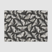 Black Moth Butterfly Mönster Halloween