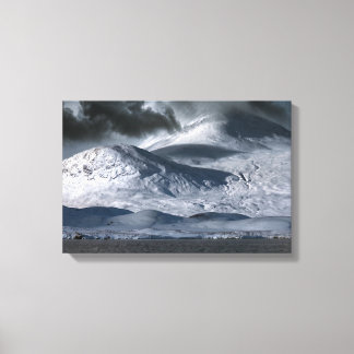 Black Mount Deer Rannoch Moor  Canvastryck