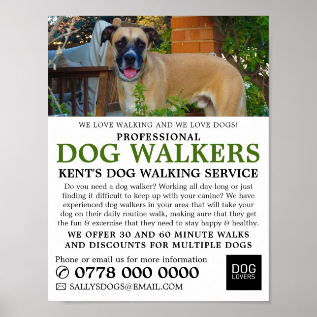 Black Mouth Cur, Dog Walker Service Advertising Poster (Framsidan)