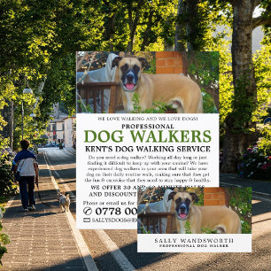 Black Mouth Cur, Dog Walker Service Visitkort