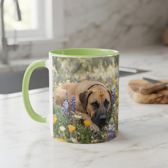 Black Mouth Cur Hund Mugg (Skapare uppladdad)