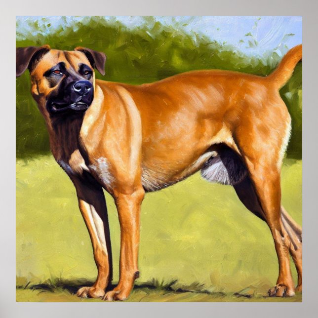 Black Mouth Cur Hund Poster (Framsidan)