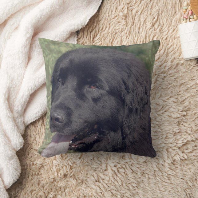 Black Newfoundland Dog Face Kudde (Filt)