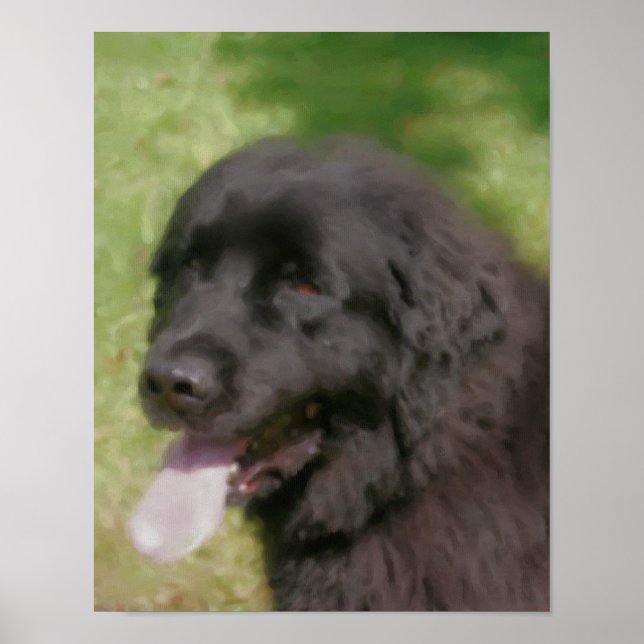 Black Newfoundland Hund Art Pastel Poster (Framsidan)