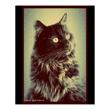 Black Norsk Forest Cat