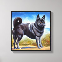 Black Norway Elkhound Hund