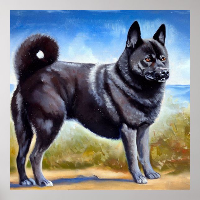 Black Norway Elkhound Hund Poster (Framsidan)