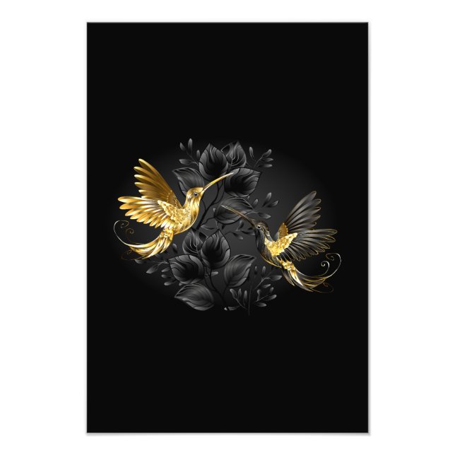 Black och Guld Hummingbird Fototryck (Framsidan)