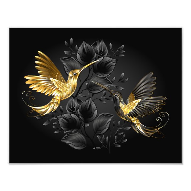 Black och Guld Hummingbird Fototryck (Framsidan)