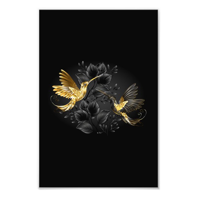 Black och Guld Hummingbird Fototryck (Framsidan)