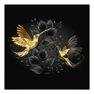 Black och Guld Hummingbird Fototryck