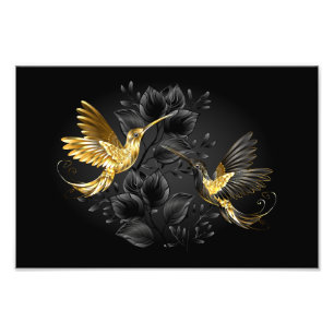 Black och Guld Hummingbird Fototryck