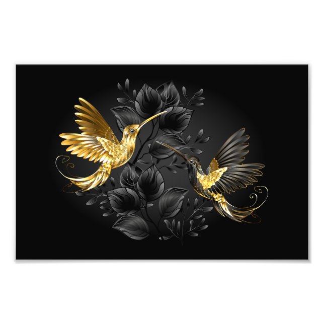 Black och Guld Hummingbird Fototryck (Framsidan)