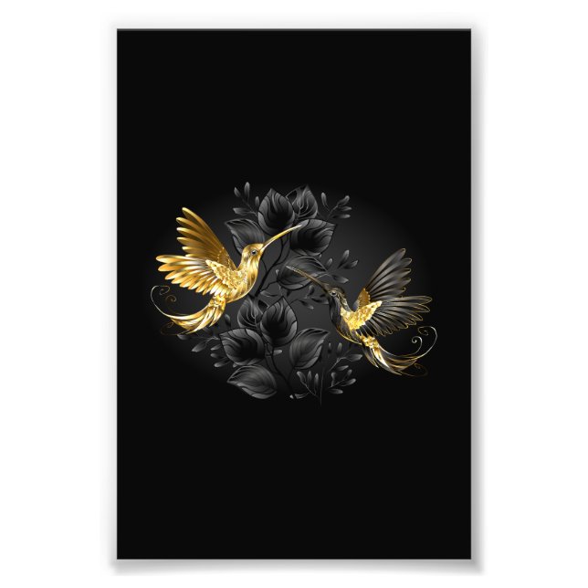 Black och Guld Hummingbird Fototryck (Framsidan)