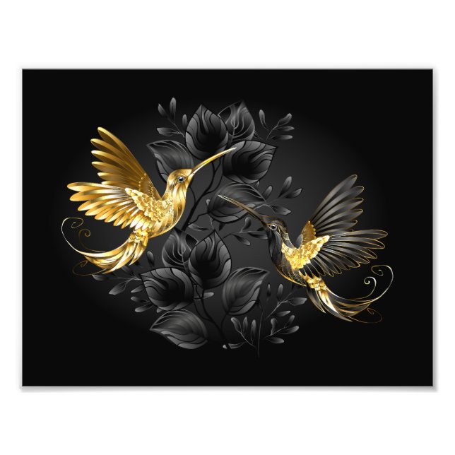 Black och Guld Hummingbird Fototryck (Framsidan)